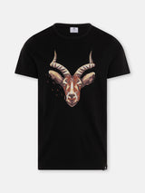 Antilopen Shirt - CircleStances